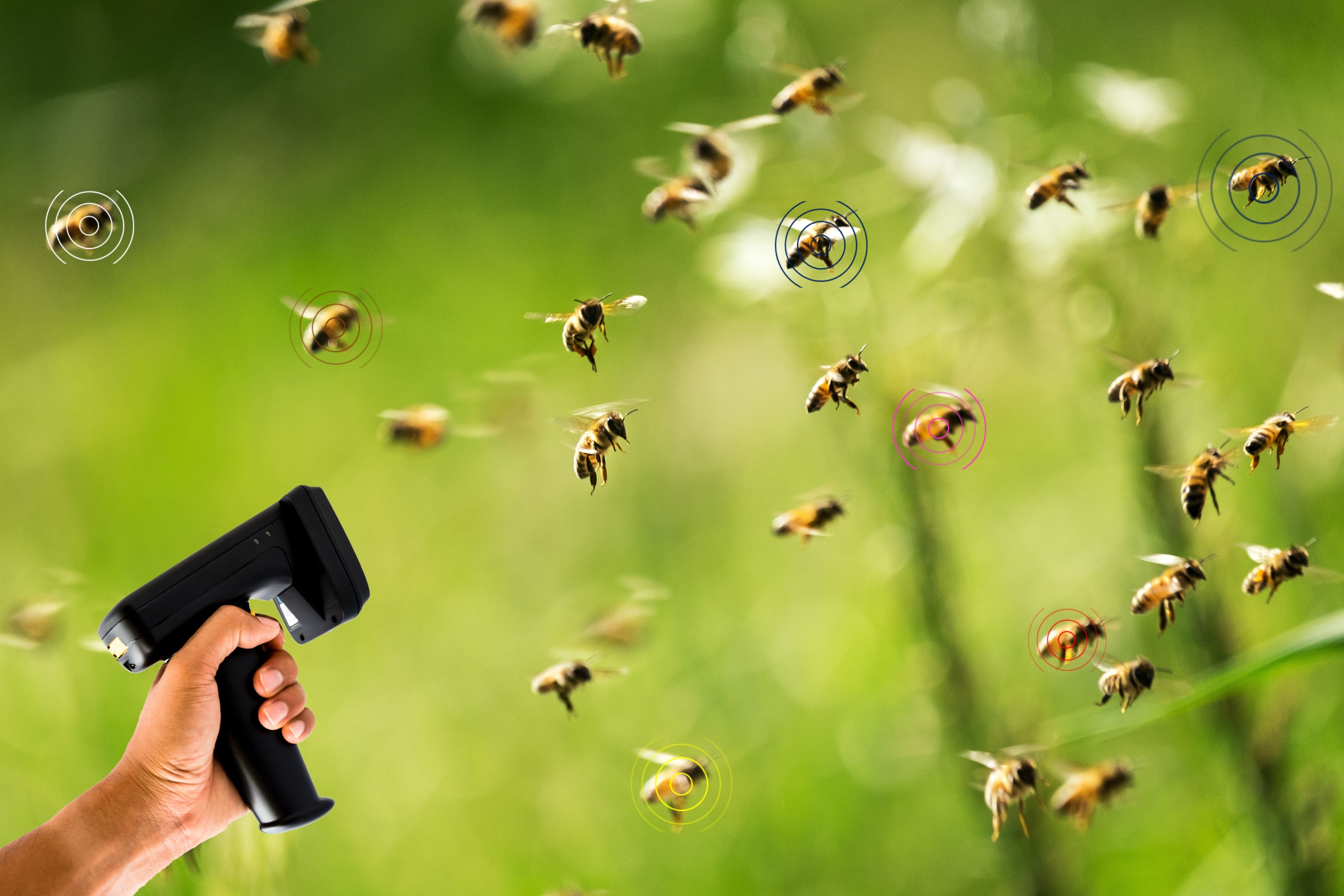bees and waves